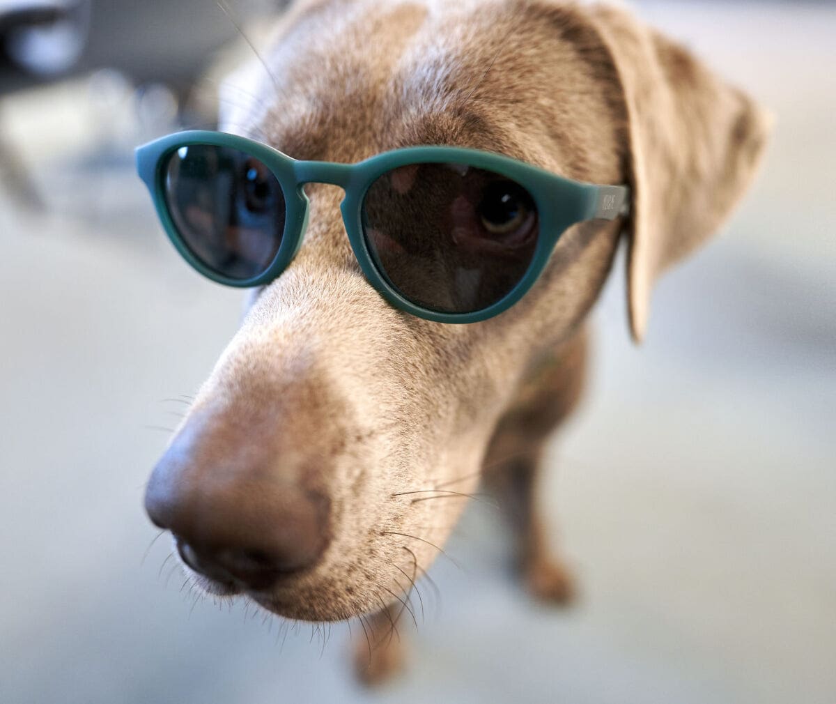 Brillenservice | WEITSICHT - Ihr Augenoptiker in Bremen - Mahndorf